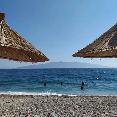 Flat To Rent In Apartment Sarande